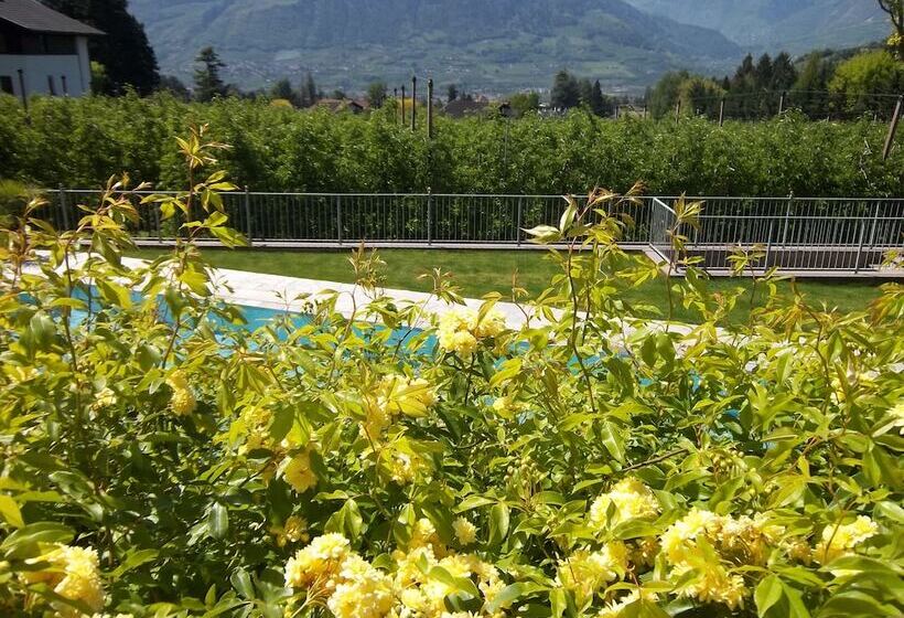 Fotos del hotel Pension Verdorfer:  13