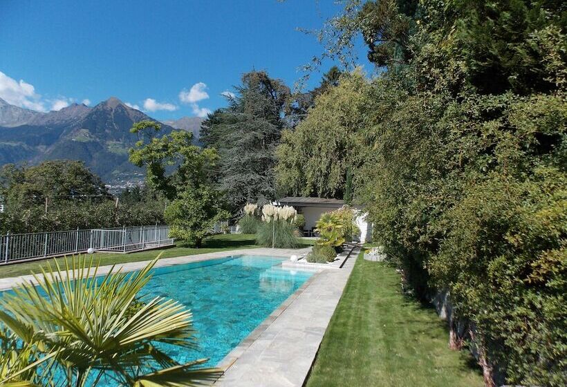 Fotos del hotel Pension Verdorfer:  25