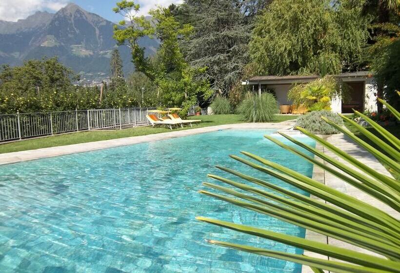 Fotos del hotel Pension Verdorfer:  22