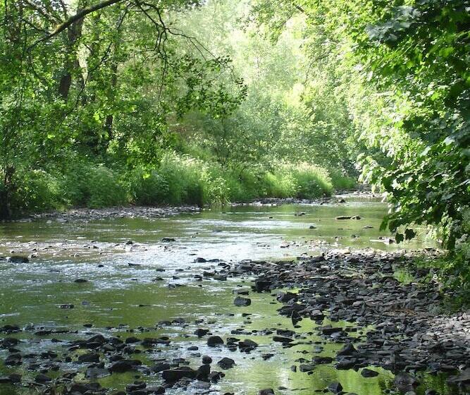 Fotos del hotel Fox & Hounds Country:  15