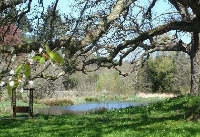 Fotos del hotel Fox & Hounds Country:  18