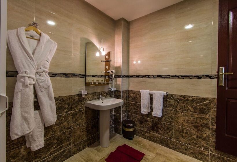 Fotos del hotel Blue Sky Hôtel:  19