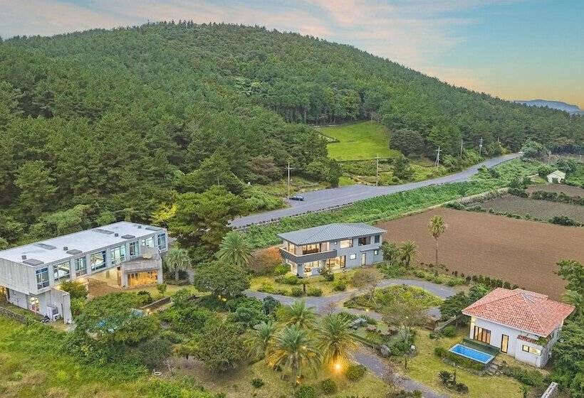 Fotos del hotel Color In Jeju:  9