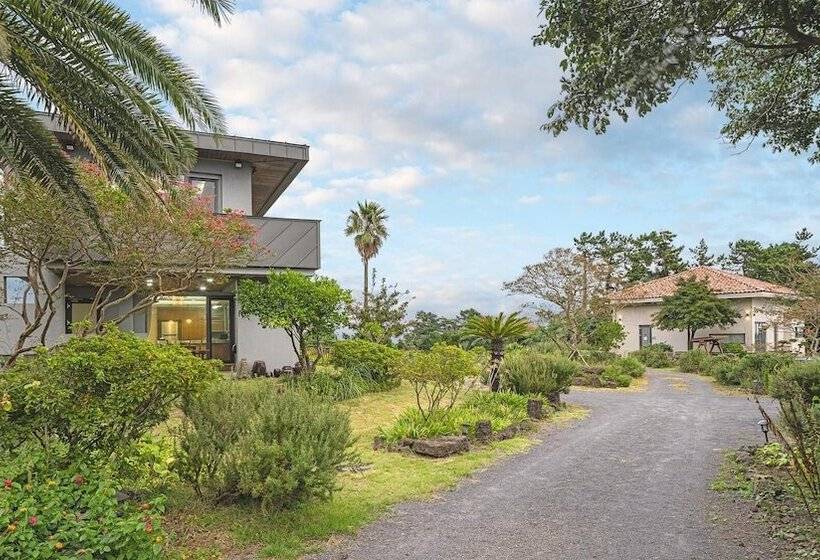 Fotos del hotel Color In Jeju:  14