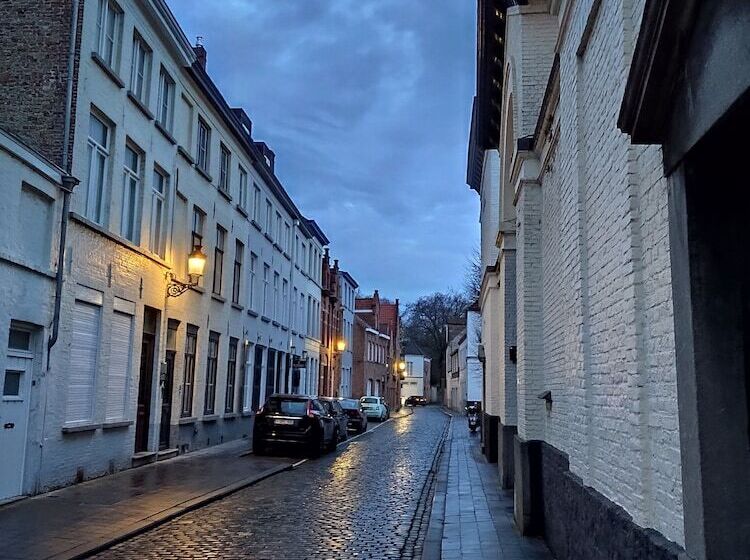 Fotos del hotel Boutique B&b The Townhouse:  14