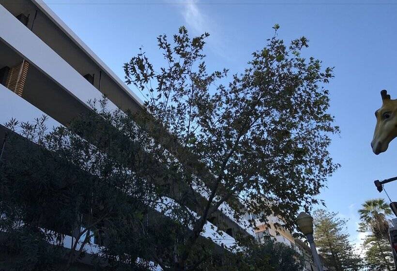 Fotos del hotel Gq Hotel & Club - Adults Only:  7