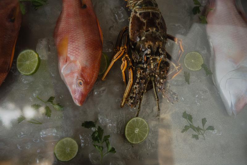 Fotos del hotel Chiringuito Tulum:  6