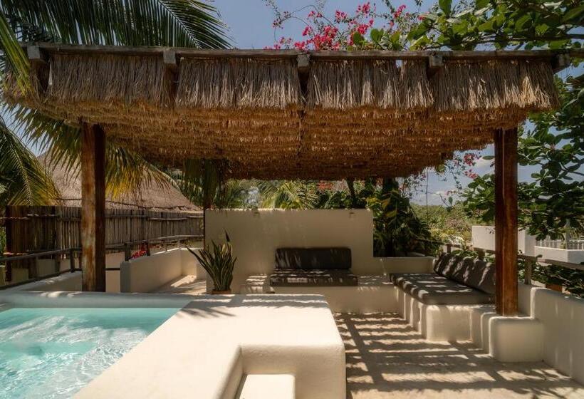 Fotos del hotel Chiringuito Tulum:  3