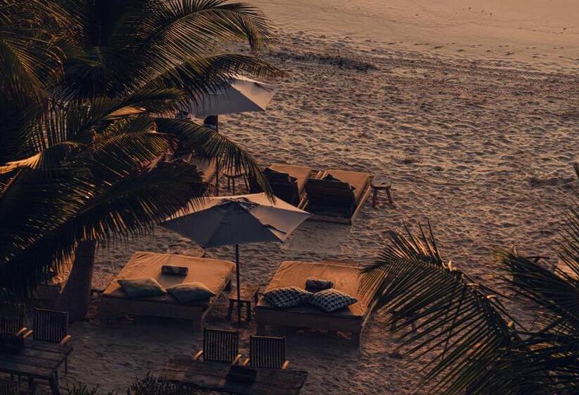 Fotos del hotel Chiringuito Tulum:  13