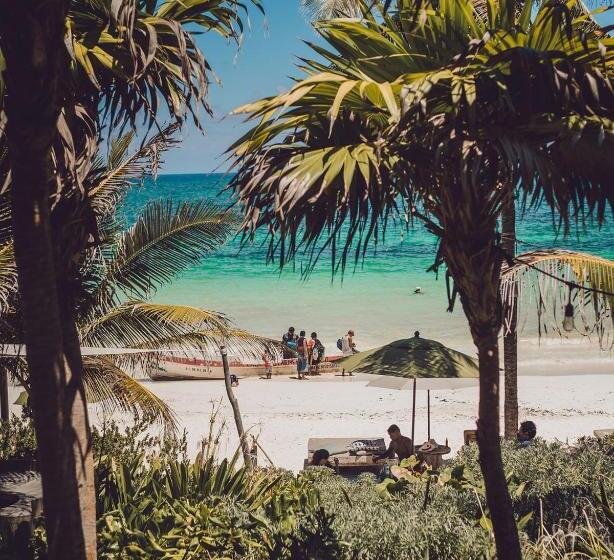 Fotos del hotel Chiringuito Tulum:  19