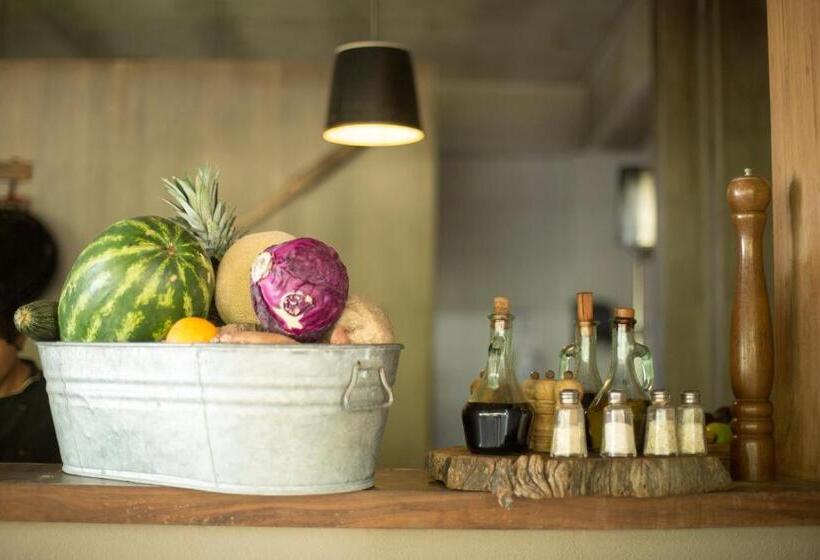 Fotos del hotel Chiringuito Tulum:  12