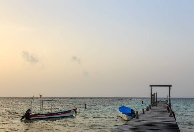 Fotos del hotel Aquastar Hotel & Apartments:  8