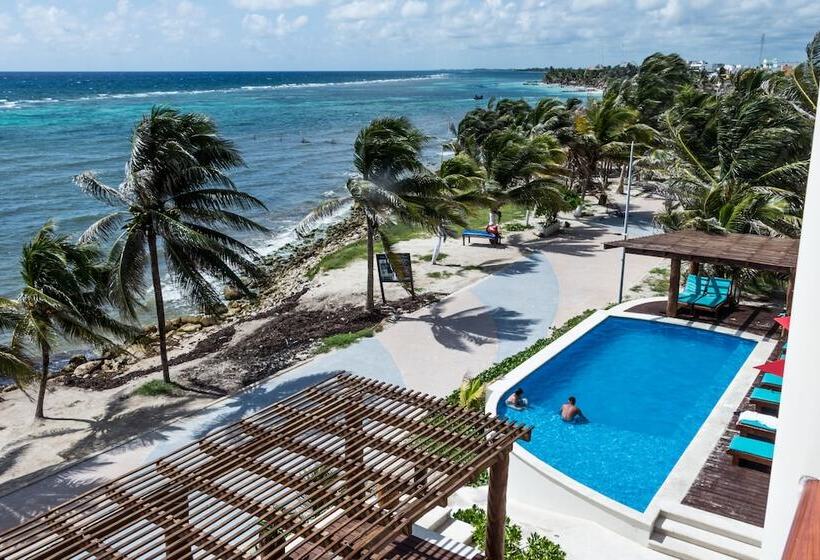 Fotos del hotel Aquastar Hotel & Apartments:  14