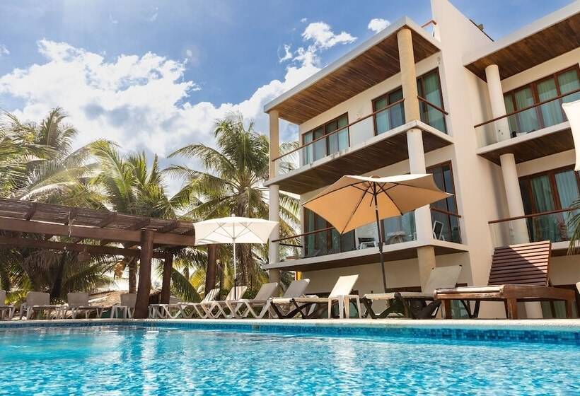 Fotos del hotel Aquastar Hotel & Apartments:  12