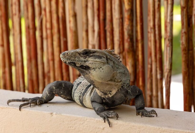 Fotos del hotel Aquastar Hotel & Apartments:  7