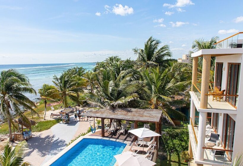 Fotos del hotel Aquastar Hotel & Apartments:  17