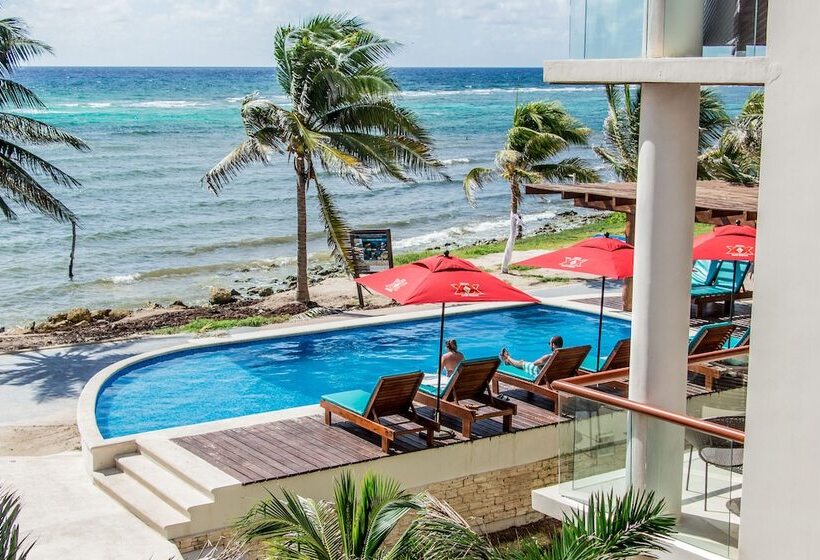 Fotos del hotel Aquastar Hotel & Apartments:  22