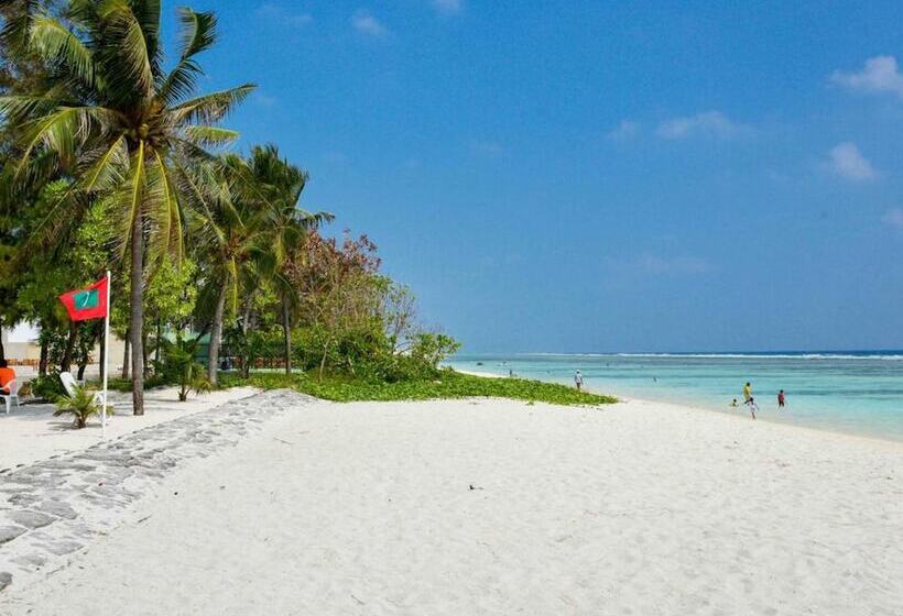 Fotos del hotel Coconut Tree Hulhuvilla Beach:  4