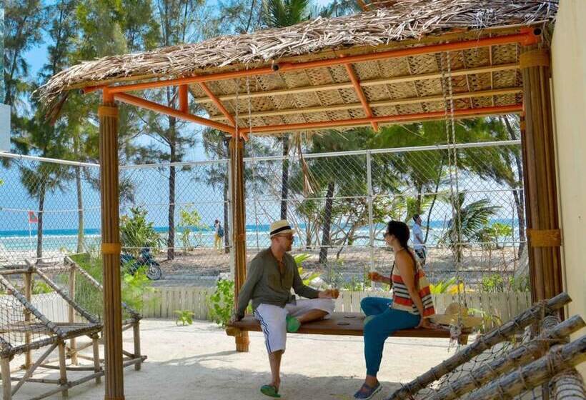 Fotos del hotel Coconut Tree Hulhuvilla Beach:  16