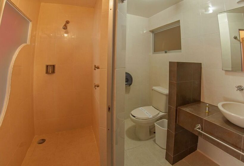 Fotos del hotel Auto Mediterraneo:  8