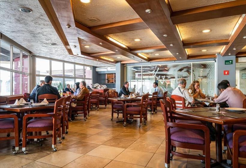 Fotos del hotel Parque Satelite:  12