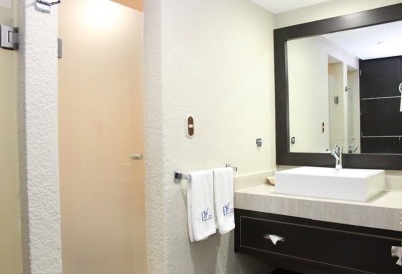 Fotos del hotel Parque Satelite:  14