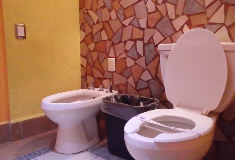 Fotos del hotel Real Azteca:  18