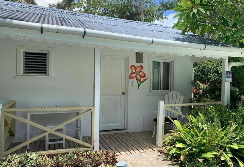 Fotos del hotel Beach Hotel Casa Nina:  12