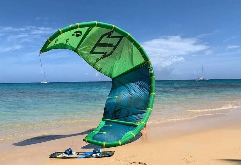 Fotos del hotel Beach Hotel Casa Nina:  22