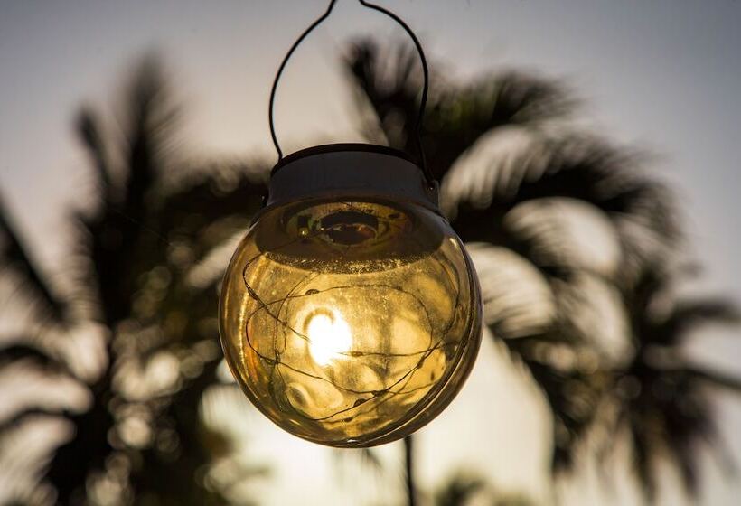 Fotos del hotel Beach Hotel Casa Nina:  6