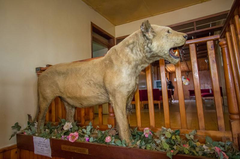 Fotos del hotel Diplomate:  15