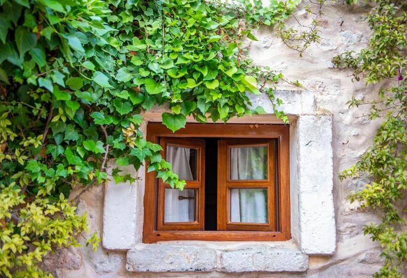 Fotos del hotel & Restaurant Jardi D'artà:  7