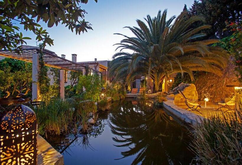 Fotos del hotel & Restaurant Jardi D'artà:  17