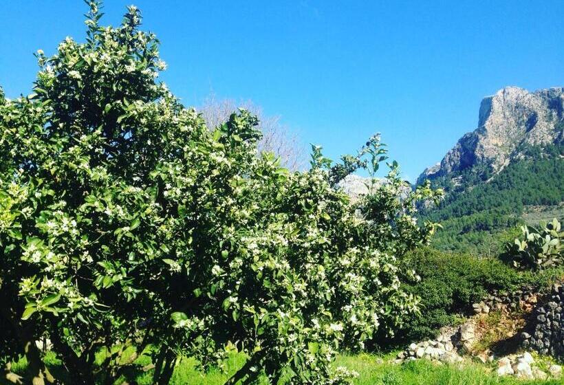 Fotos del hotel Finca Cas Sant:  7