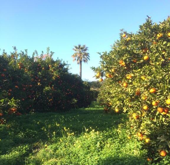 Fotos del hotel Finca Cas Sant:  20