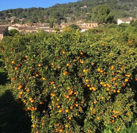 Fotos del hotel Finca Cas Sant:  22