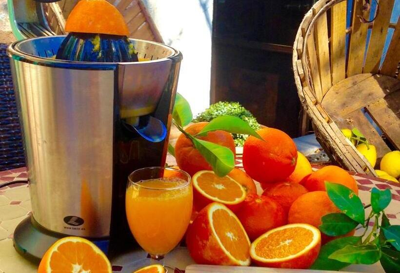 Fotos del hotel Finca Cas Sant:  3