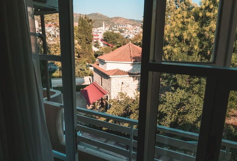 Fotos del hotel Nicea:  9