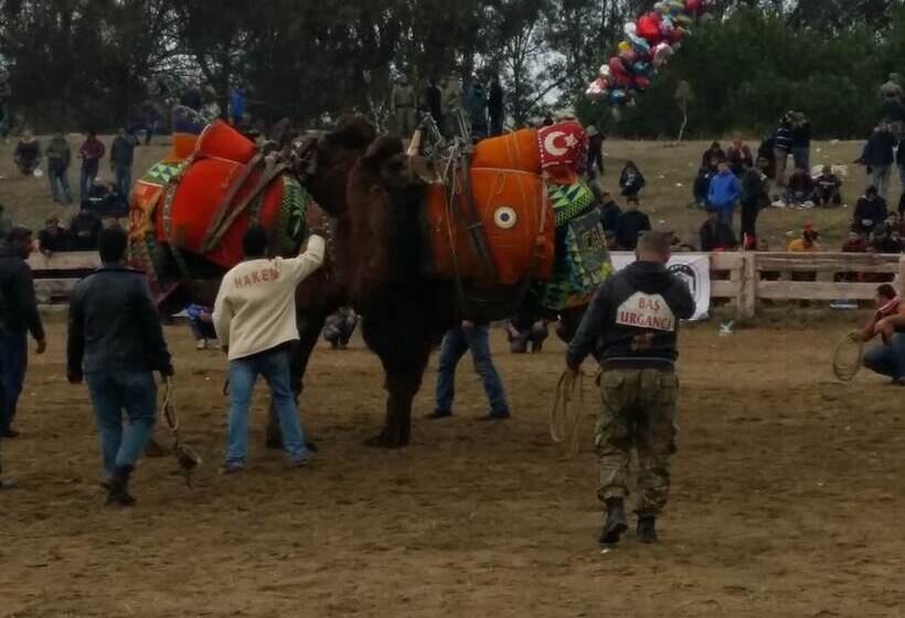 Fotos del hotel Nicea:  8
