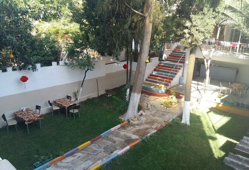 Fotos del hotel Nicea:  13