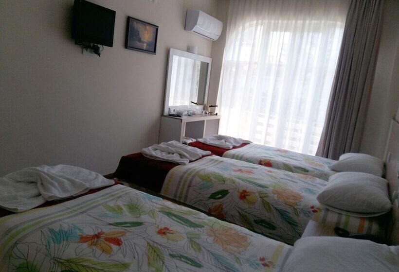 Fotos del hotel Nicea:  2