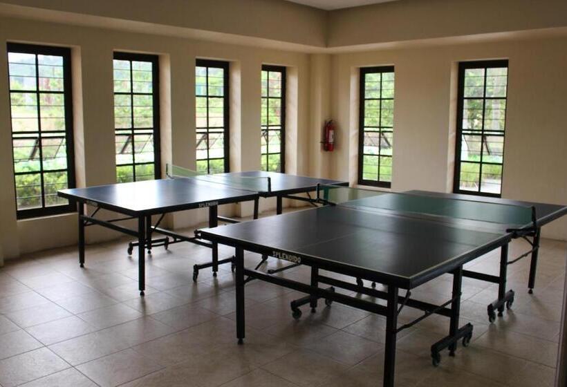 Fotos del hotel Splendido:  13