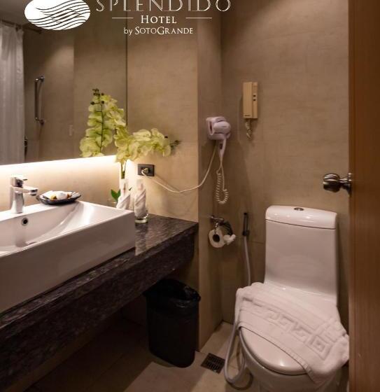 Fotos del hotel Splendido:  6