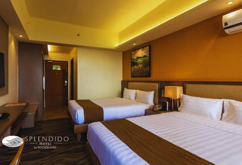 Fotos del hotel Splendido:  17