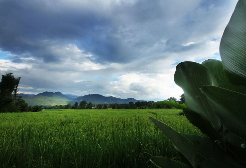 Fotos del hotel Ban Dalah Pai:  8