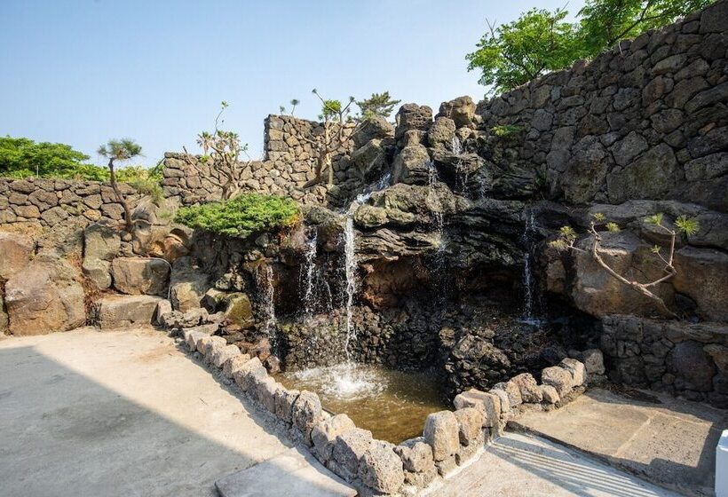 Fotos del hotel Sea & Hill Spa Pension:  11