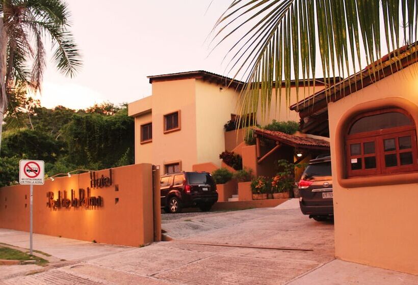 Fotos del hotel Real De La Palma:  8