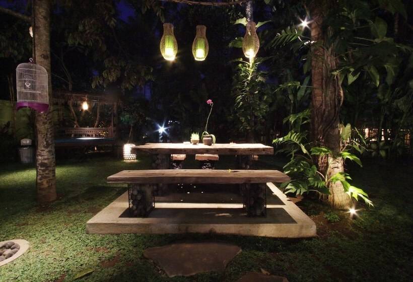 Fotos del hotel Green Bird Villa:  10