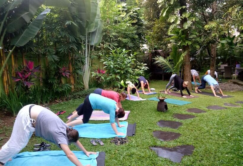 Fotos del hotel Green Bird Villa:  11