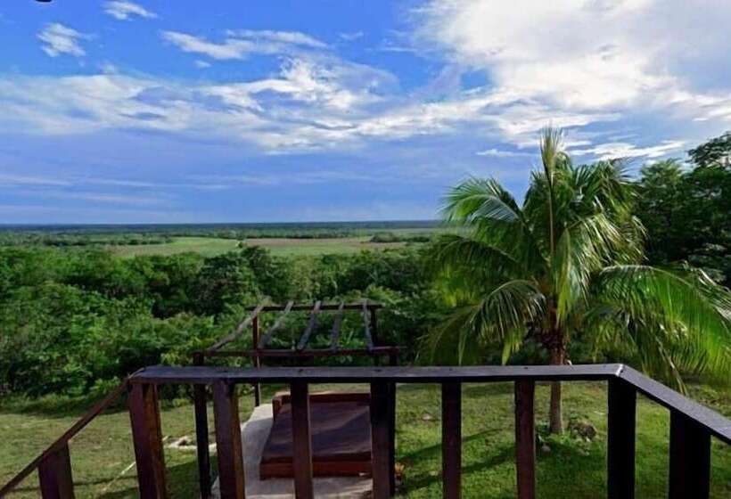 Fotos del hotel Hacienda Y Glamping La Carlotta:  6